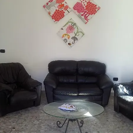 La Cycas *